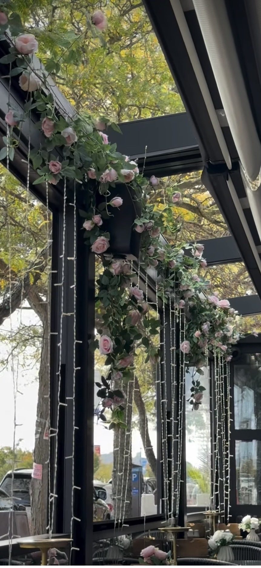 Roses over the illuminated bar